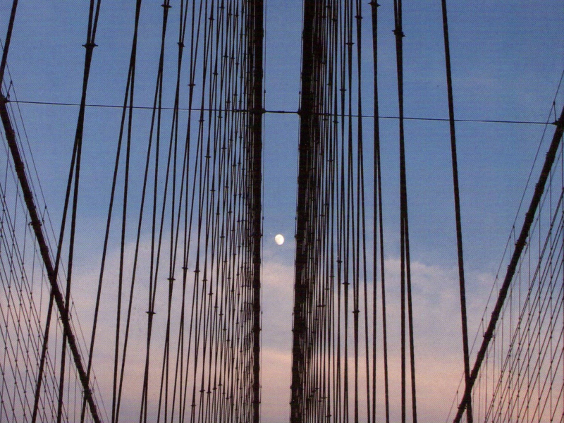 Mike Marshall & The Turtle Island Quartet