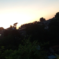 Tonight let's go (Single)