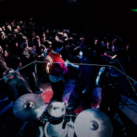 Tipper Gore (Single)