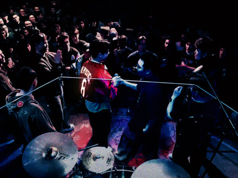 Tipper Gore (Single)