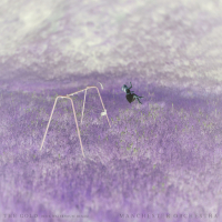 The Gold (Nick Waterhouse Remix) (Single)