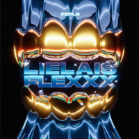 LIELAIS FLEXXX (Single)