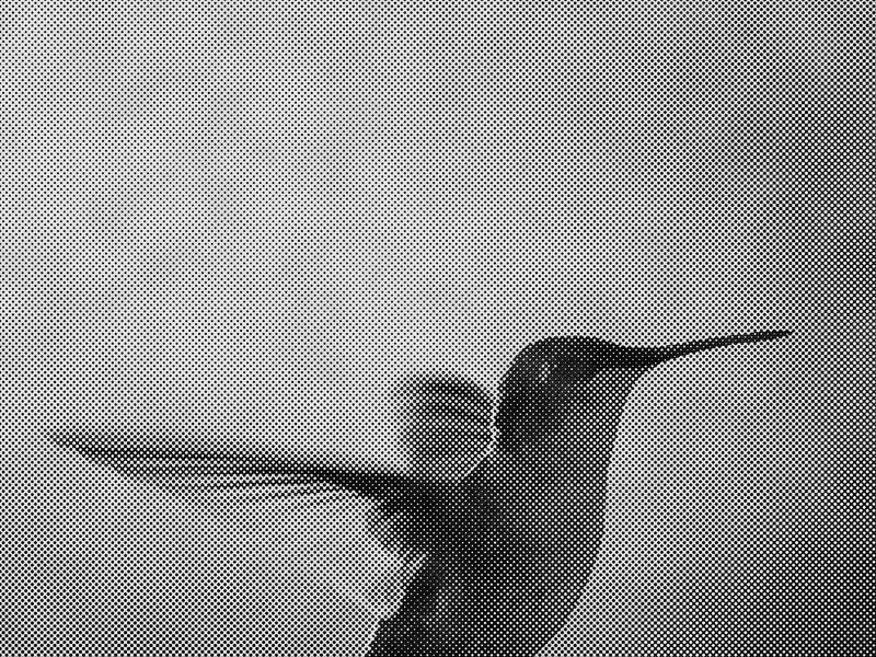 Codinome Beija-Flor / O Tempo Não Para (Single)