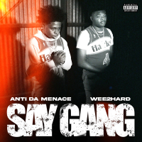 Say Gang (Single)