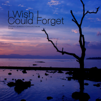 I wish I could forget (Single)