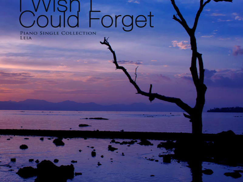 I wish I could forget (Single)