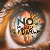 No Puedo Olvidarla (Single)