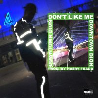 Don't Like Me (Single)