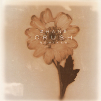 Crush Remixes (Single)