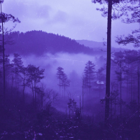 wish i could tell you (Single)