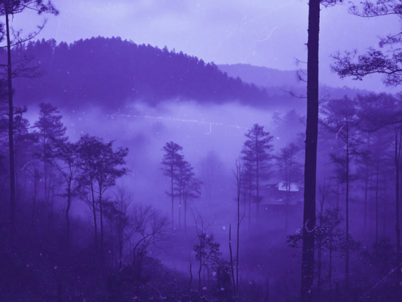 wish i could tell you (Single)