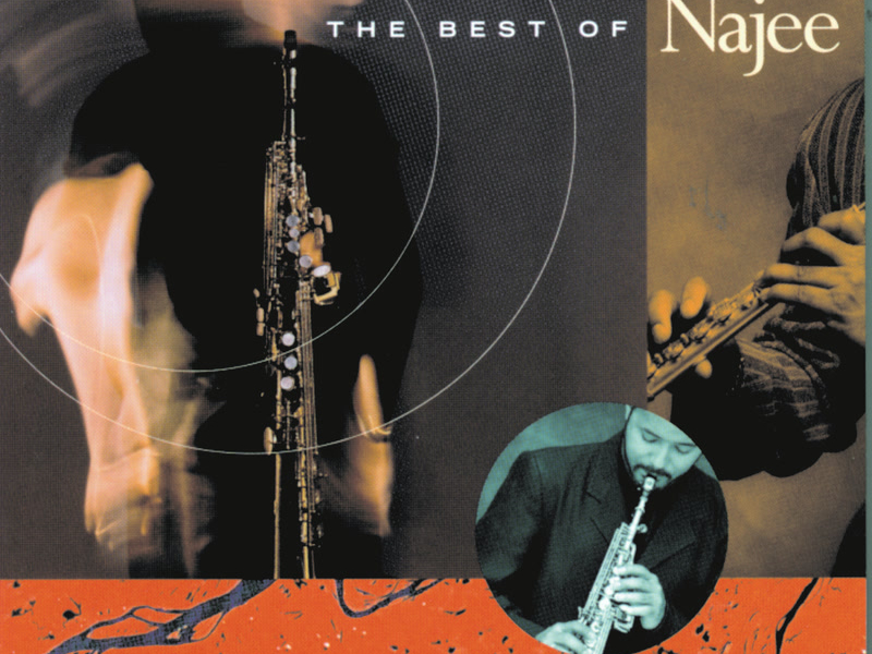 The Best Of Najee