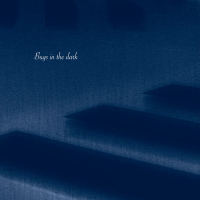 Bugs in the dark (Single)