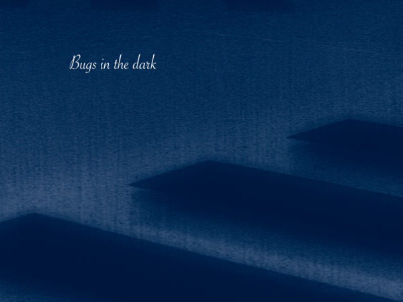 Bugs in the dark (Single)