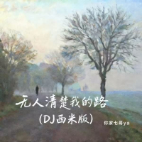 无人清楚我的路 (DJ西米版) (Single)