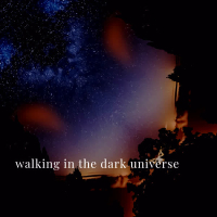 Walking in the Dark Universe