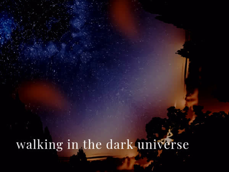 Walking in the Dark Universe