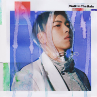 Walk In The Rain (Single)