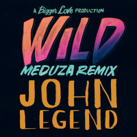 Wild (MEDUZA Remix) (Single)