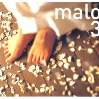 Cherryblossoms Fall Off