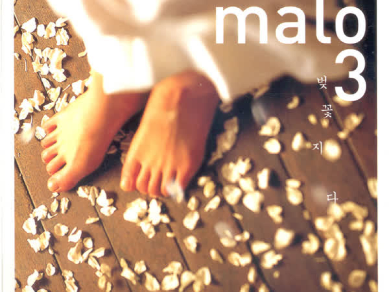 Cherryblossoms Fall Off