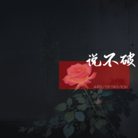 说不破 (Single)