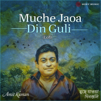Muche Jaoa Din Guli (Lofi) (Single)