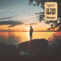 Go Your Own Way (Single)