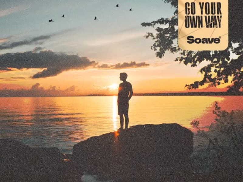 Go Your Own Way (Single)
