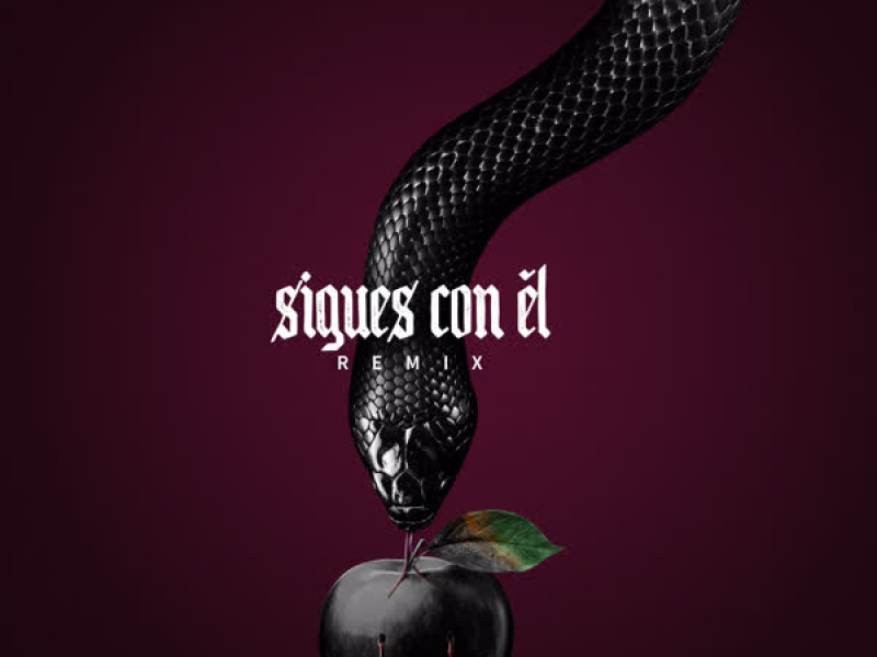 Sigues Con El (Remix) (Single)