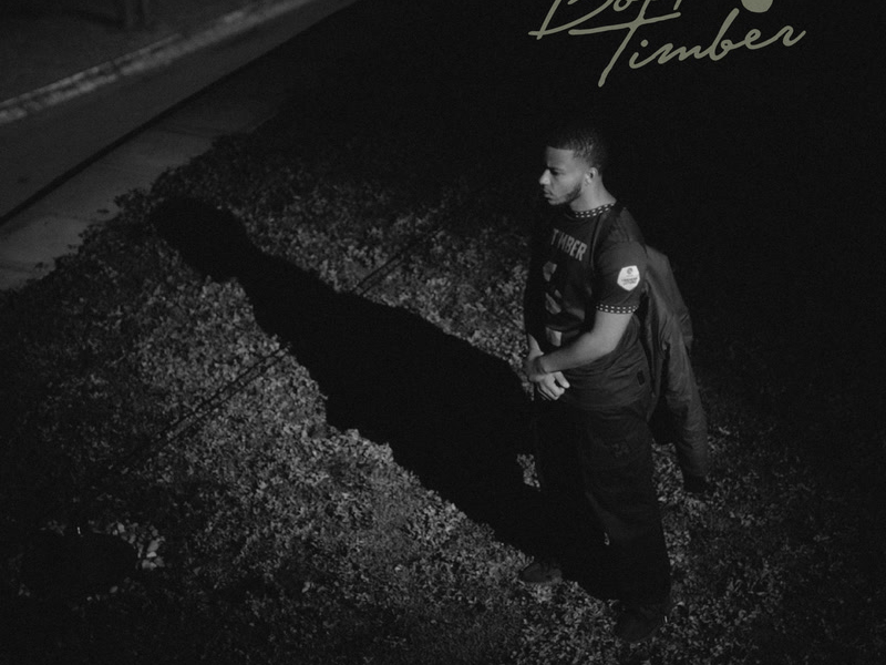 Timber (Single)