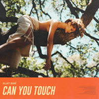 Can You Touch (Single)