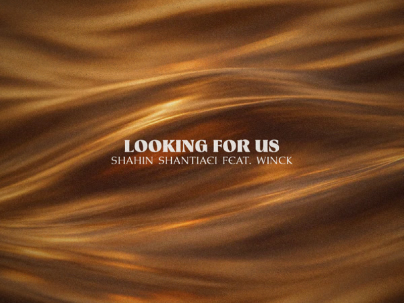 Looking For Us (feat. WINCK) (Single)