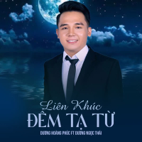 Liên Khúc Đêm Tạ Từ (Single)