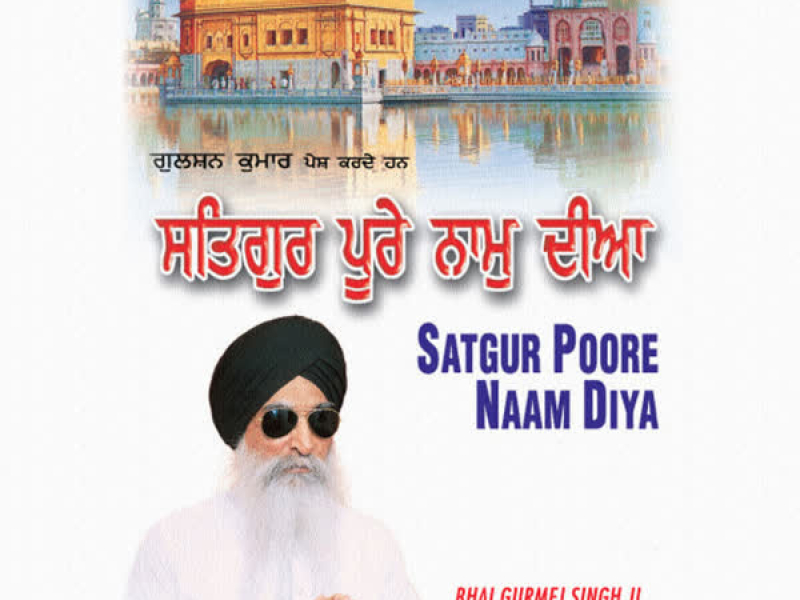 Satgur Poore Naam Diya Vol-8