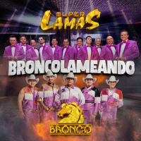BRONCOLAMEANDO (Single)