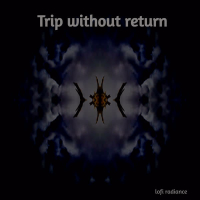 Trip Without Return