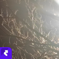 桃花下的思念 (Single)