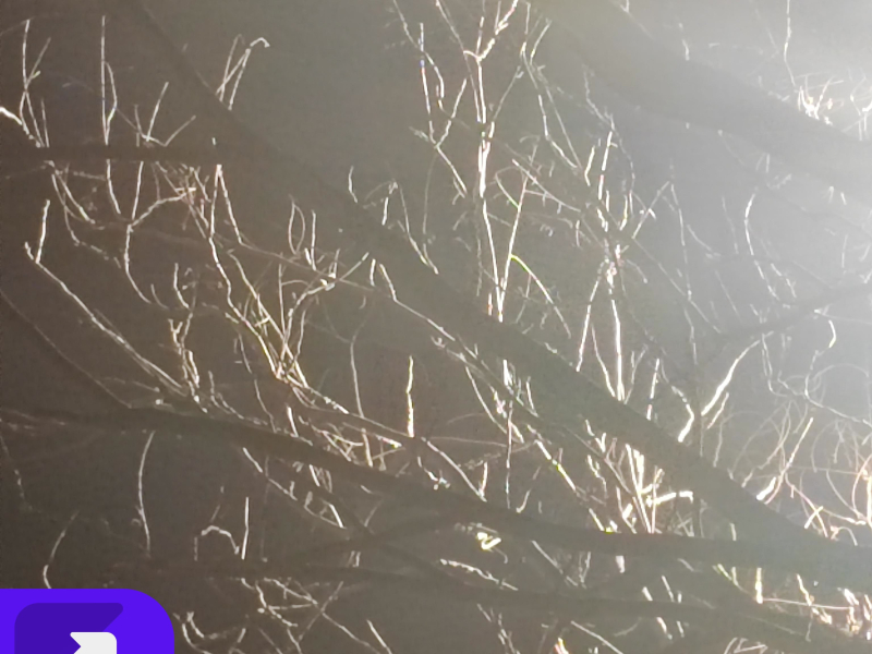 桃花下的思念 (Single)