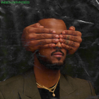 Ingen Bryr Seg (Single)