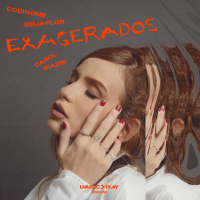 Codinome Beija-Flor (Single)