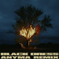 Black Dress (Anyma Remix) (Single)