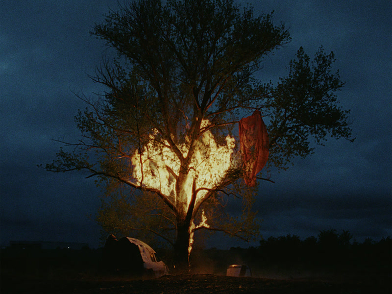 Black Dress (Anyma Remix) (Single)