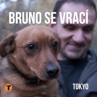 Bruno Se Vrací (Single)
