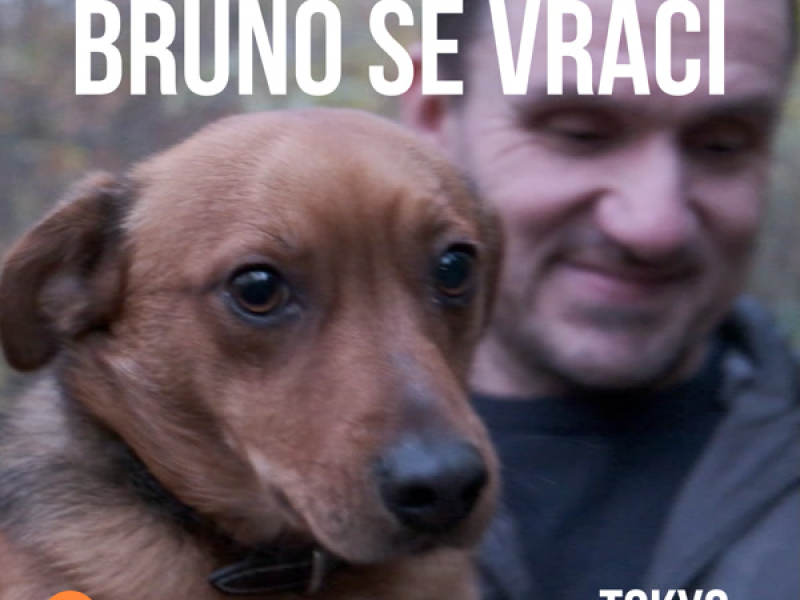 Bruno Se Vrací (Single)