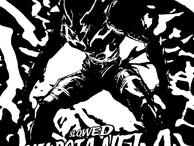 BOTA BOTA NELA (BRAZILIAN PHONK) (Single)