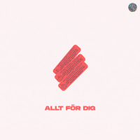 Allt För Dig (Single)