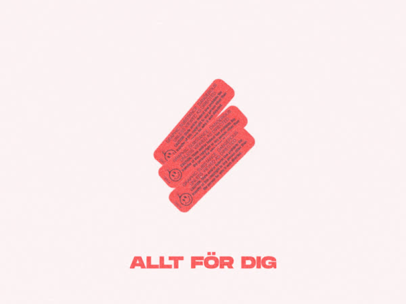 Allt För Dig (Single)