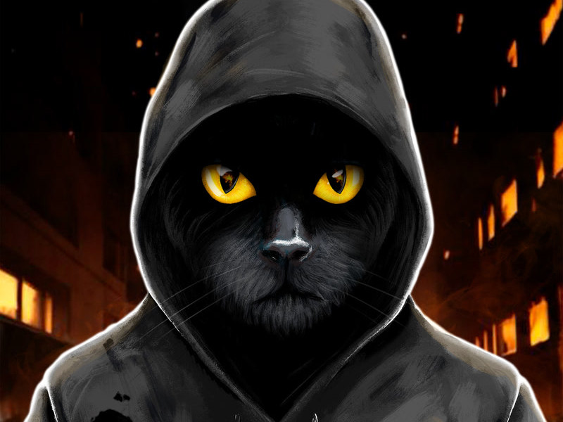 Musta Kissa (Single)