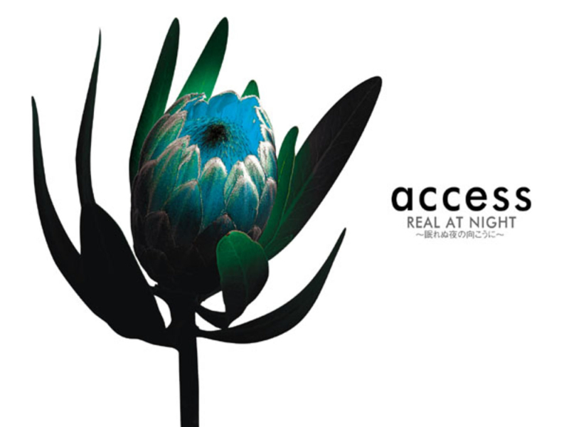 REAL AT NIGHT Nemurenu Yoruno Mukouni (Single)